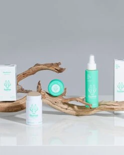 Hume Deodorant | Desert Bloom -TrendSphere Hume Deodorant 042