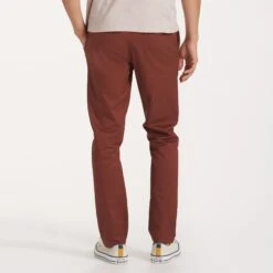 Collins Chino Pant | Cedar -TrendSphere V433CED 3489